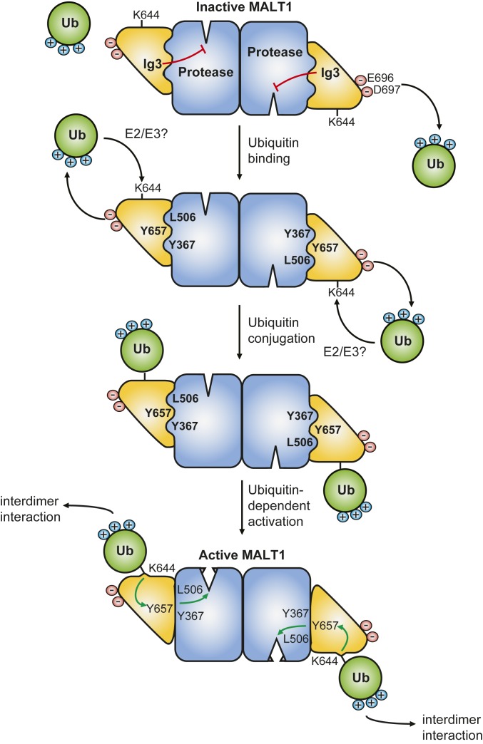 Fig. 5.