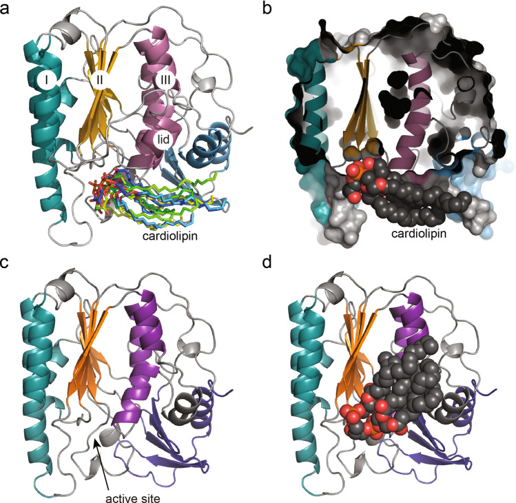 Figure 5