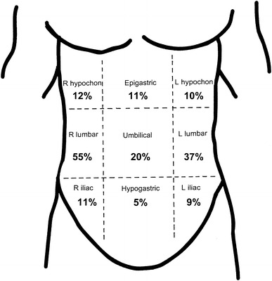 Fig. 1