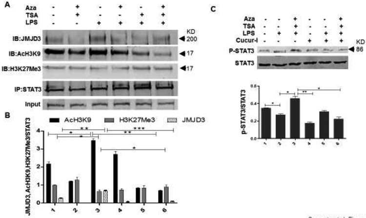 Figure 7.