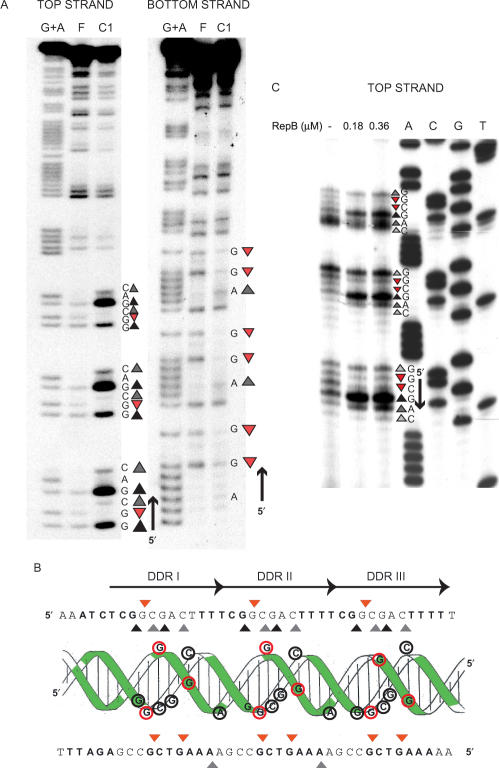 Figure 3.