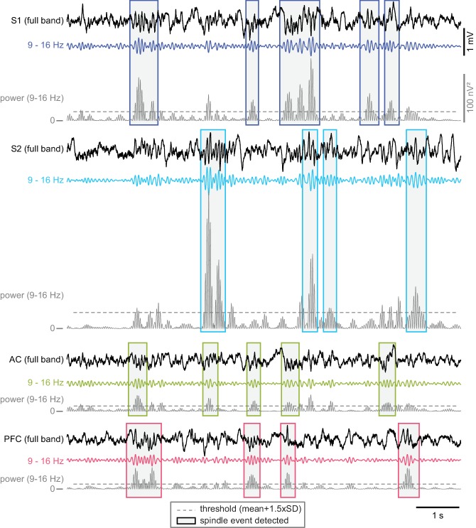 Figure 5—figure supplement 1.