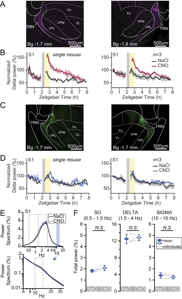 Figure 4—figure supplement 1.