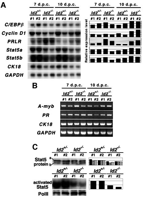 graphic file with name cdd578f6.jpg