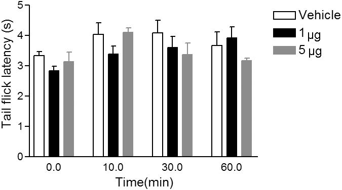 Fig.7