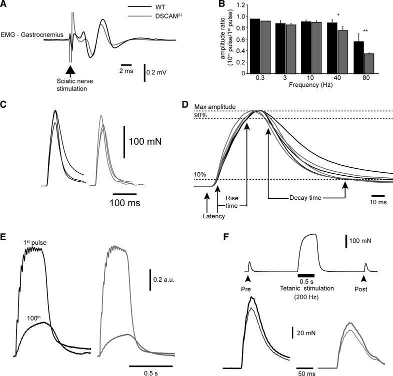 Fig. 8.