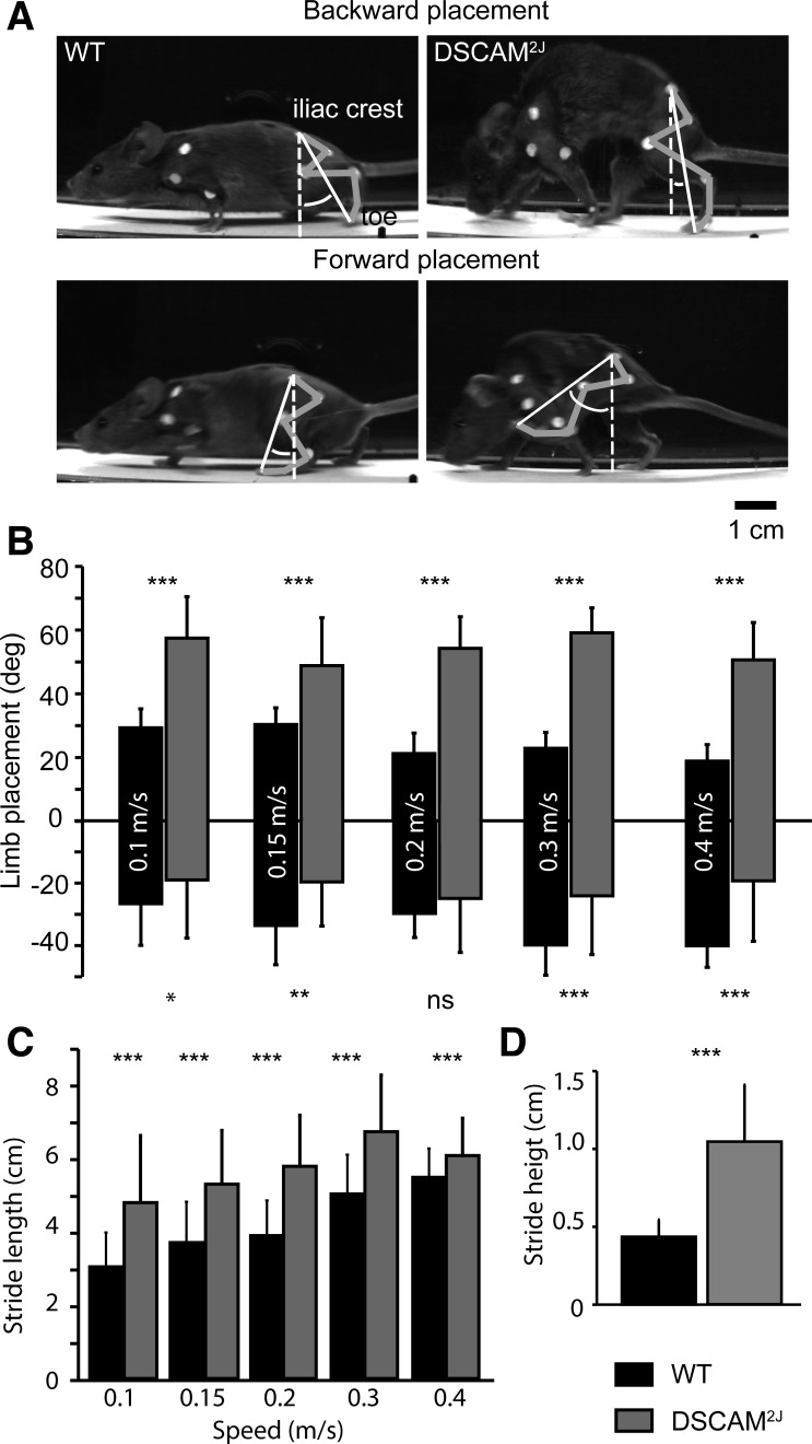 Fig. 4.