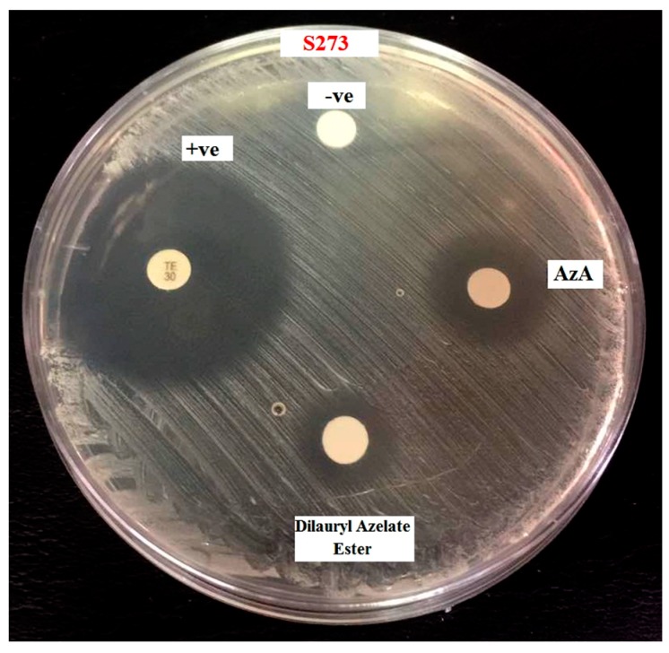 Figure 5