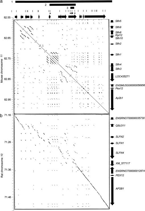 Figure 5.