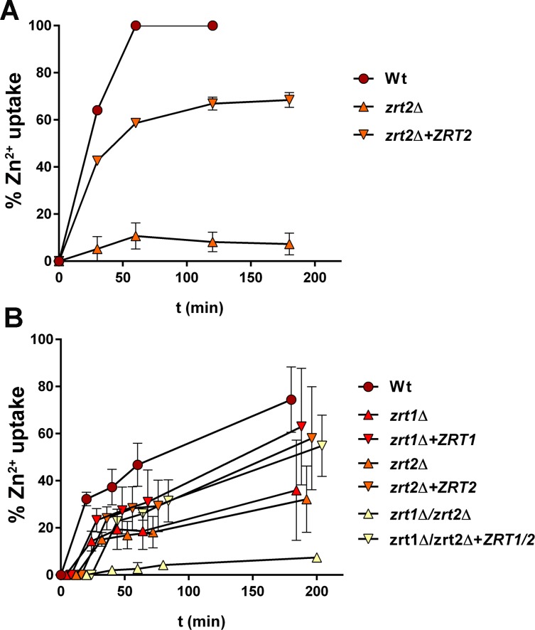 Fig 2