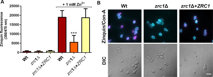 Fig 12