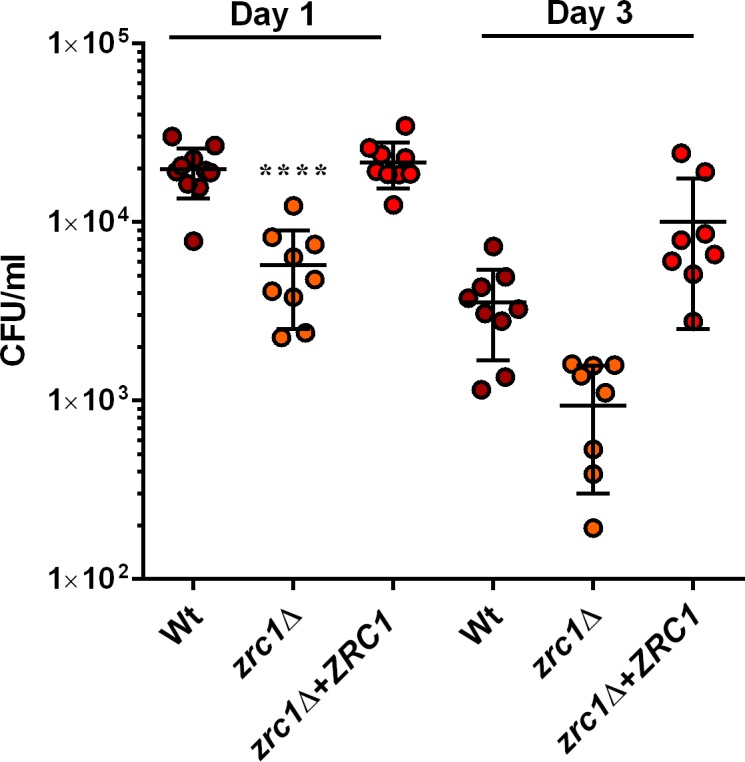 Fig 14