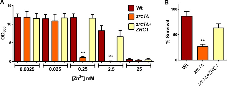 Fig 11