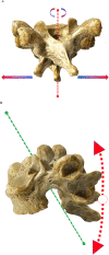 Fig.4