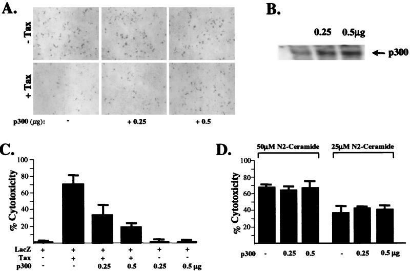 FIG. 7