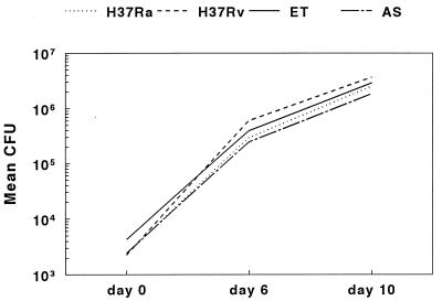 FIG. 6