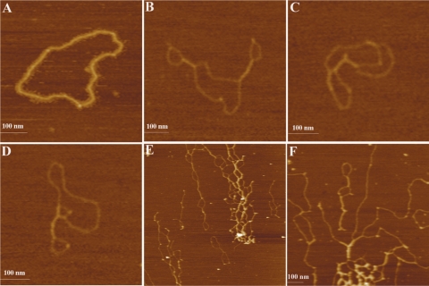 Figure 5.