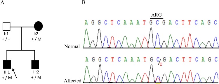 Fig 2