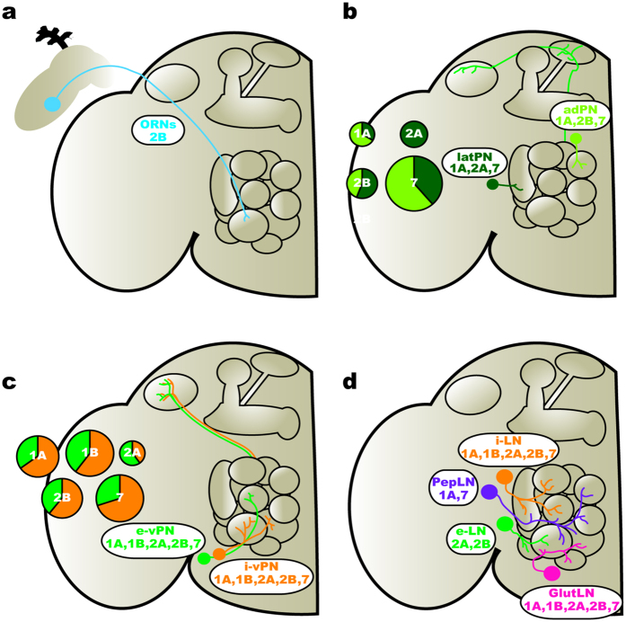 Figure 7