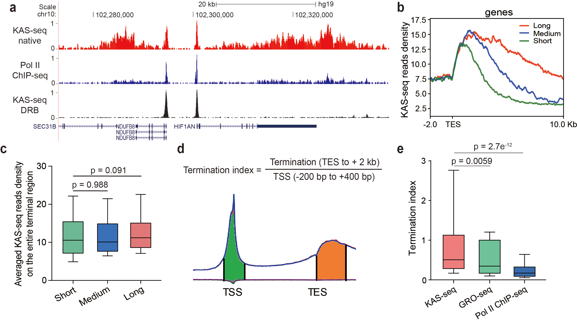 Extended Data Fig. 5