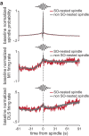 Figure 7—figure supplement 1.