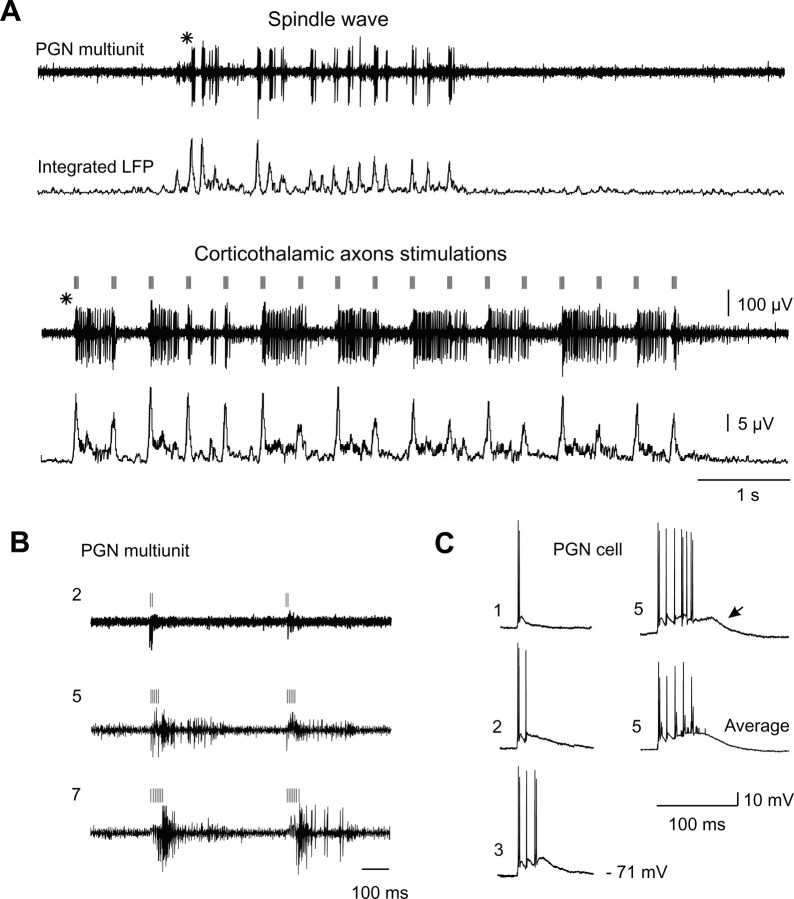 Fig. 6.