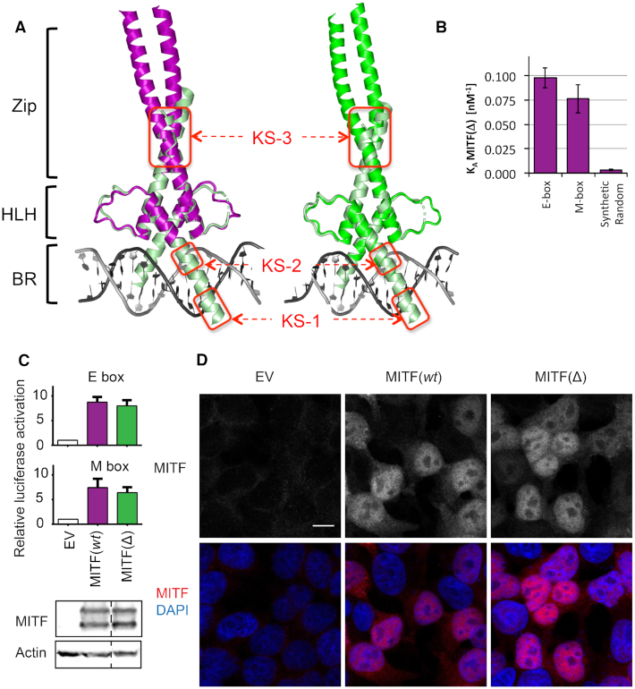 Figure 4.