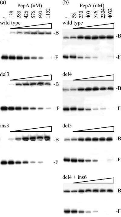 FIG. 6.