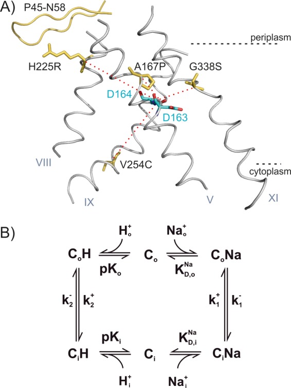 FIGURE 1.