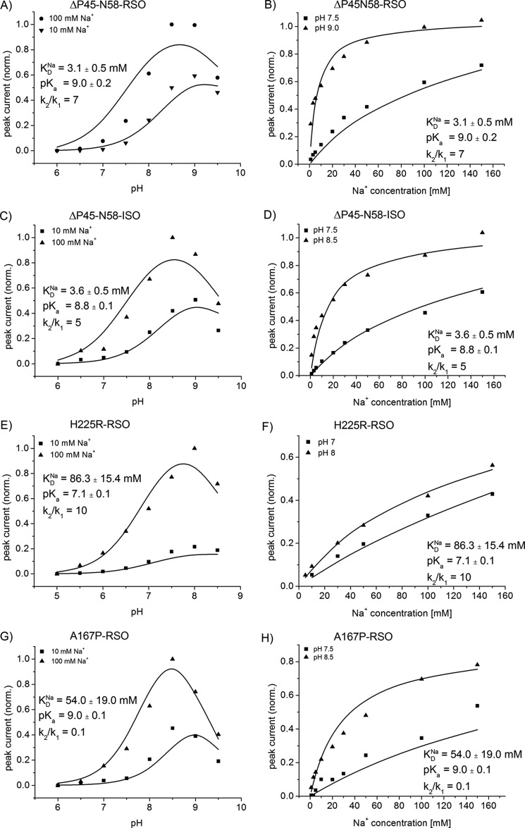 FIGURE 4.