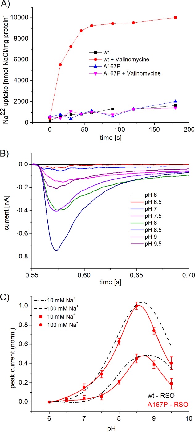 FIGURE 3.