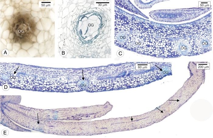 Figure 2.