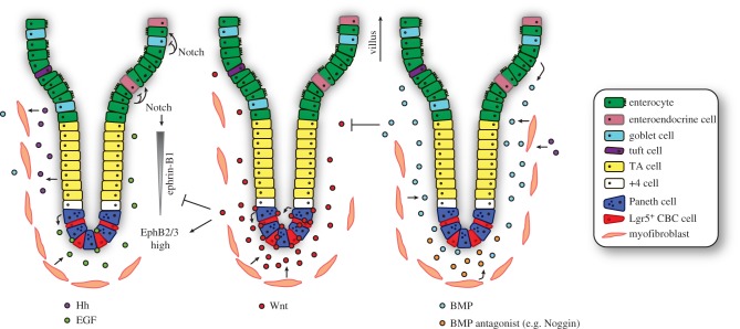 Figure 3.