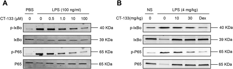 Fig. 10