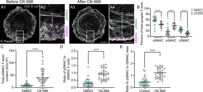 Figure 2—figure supplement 2.