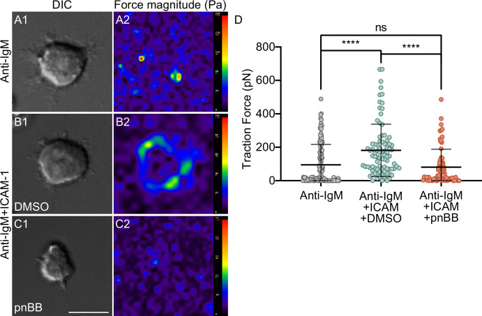 Figure 3—figure supplement 2.