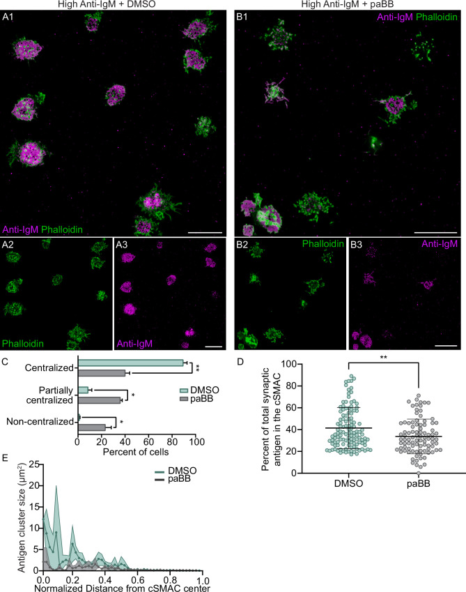 Figure 5—figure supplement 2.