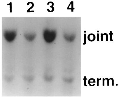 FIG. 5