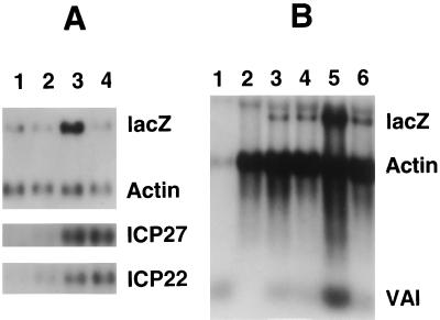 FIG. 7