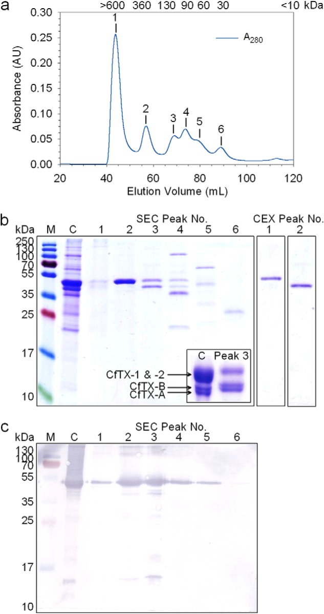 FIGURE 1.