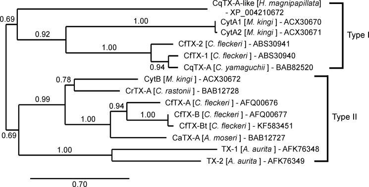 FIGURE 9.