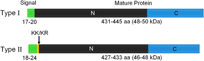 FIGURE 15.