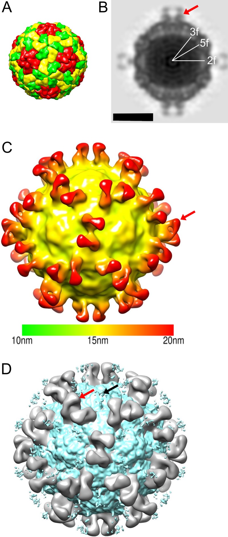 FIG 4