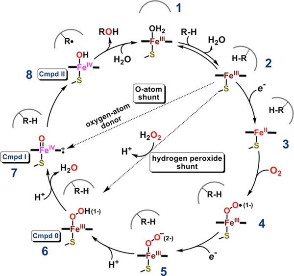 Figure 9.