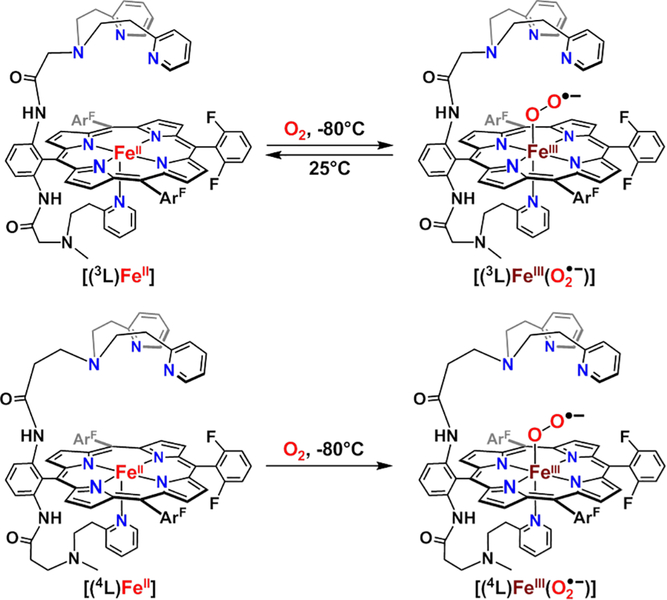 Figure 39.