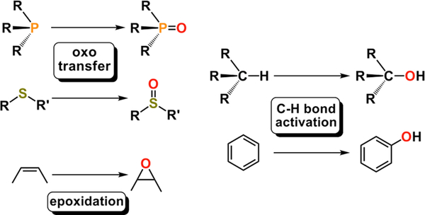 Figure 23.