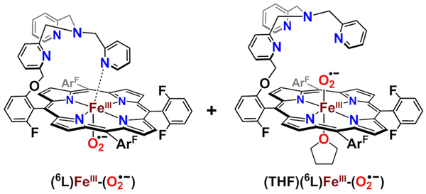 Figure 36.