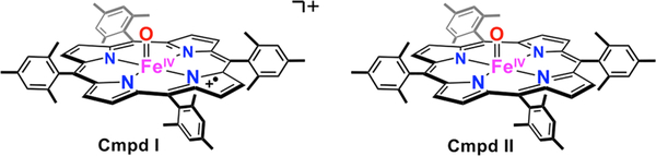 Figure 20.