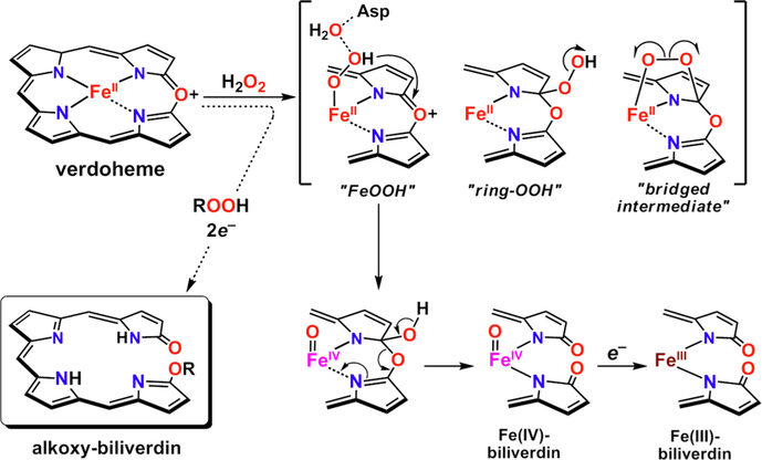 Figure 11.