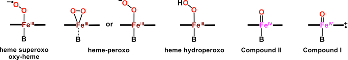 Figure 24.